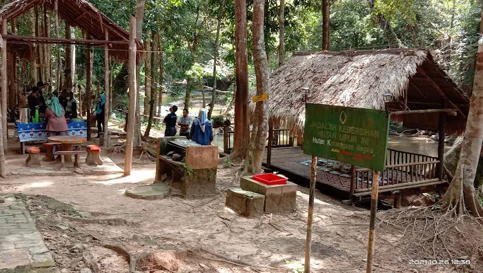 Taman Eko Rimba Ulu Tembeling Picture 9