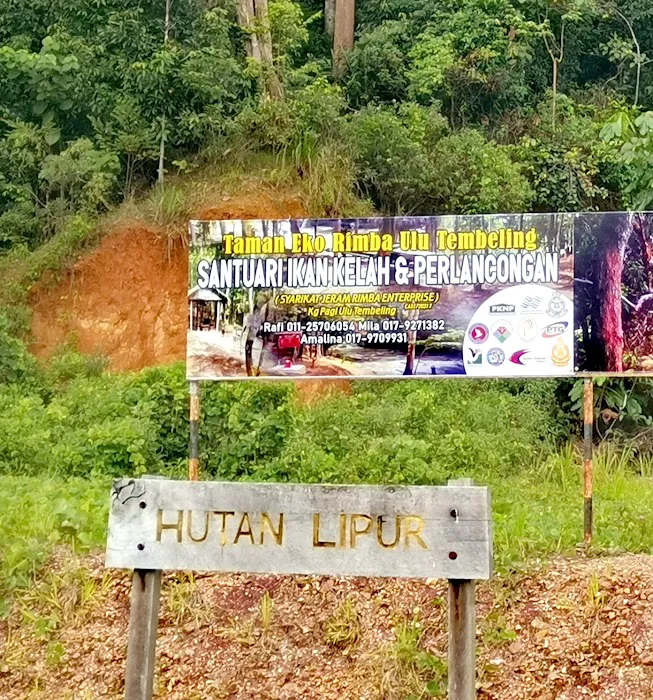 Taman Eko Rimba Ulu Tembeling Picture 10