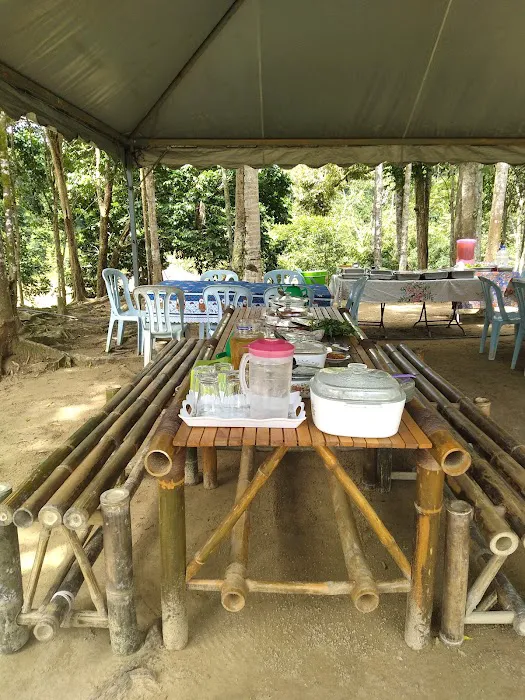 Taman Eko Rimba Ulu Tembeling Picture 1