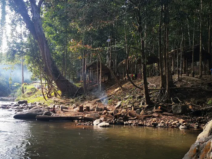 Taman Eko Rimba Ulu Tembeling Picture 8