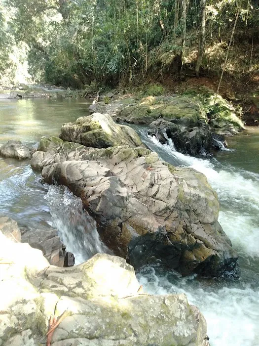 Taman Eko Rimba Ulu Tembeling Picture 2