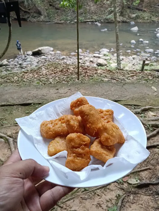 Taman Eko Rimba Ulu Tembeling Picture 4
