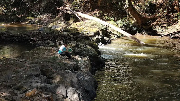 Taman Eko Rimba Ulu Tembeling Picture 5