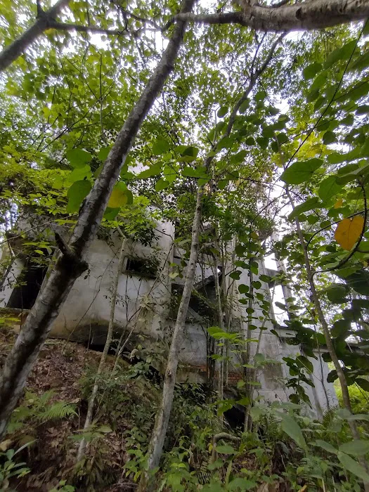 Abandoned Bungalow Desa Pinggiran Putra Picture 6