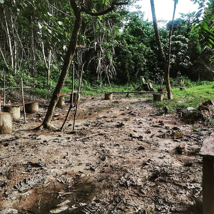 Apoi Island Basecamp Kampung Pagi Picture 4