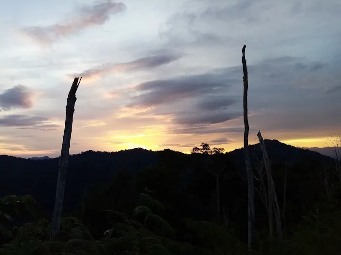 Bukit Dedari Picture 8