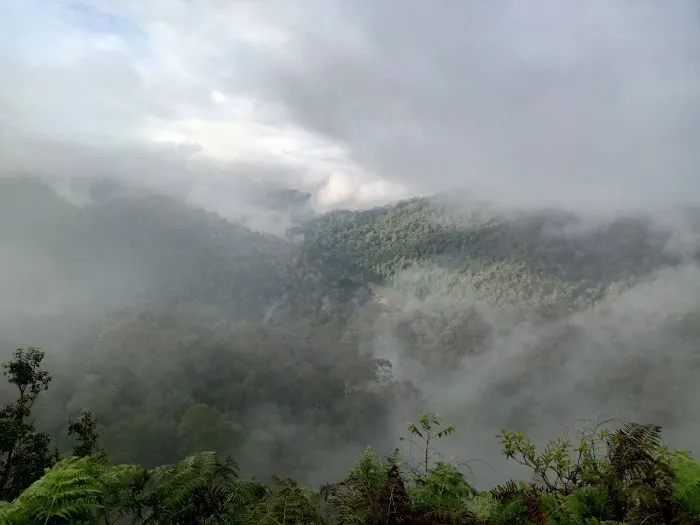 Bukit Dedari Picture 5