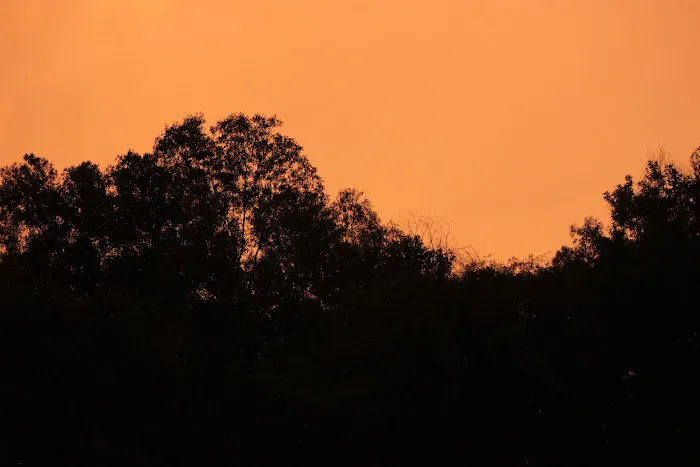 Wawasan Sunset Picture 4