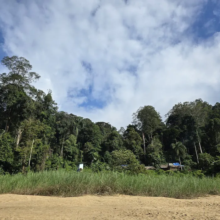 Bateq Nigerito Village Taman Negara Picture 2