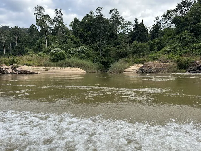 Bateq Nigerito Village Taman Negara Picture 5