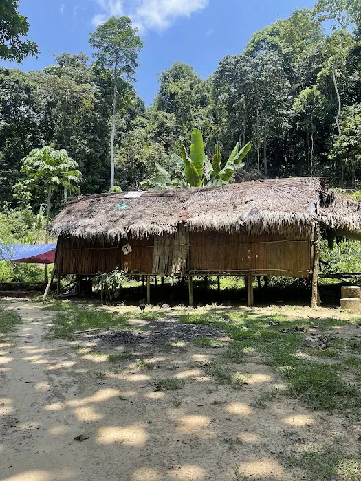 Bateq Nigerito Village Taman Negara Picture 1
