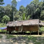 Bateq Nigerito Village Taman Negara