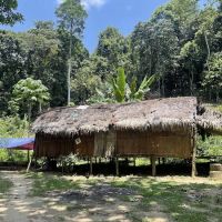 Bateq Nigerito Village Taman Negara ico