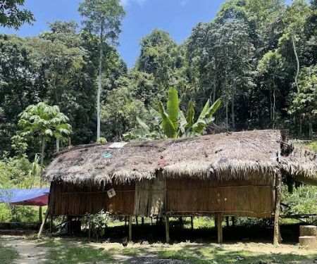 Bateq Nigerito Village Taman Negara