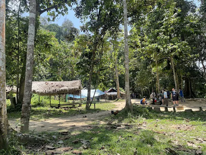 Bateq Nigerito Village Taman Negara Picture 3