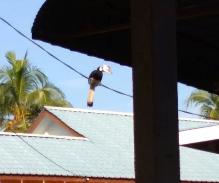 Surau Haji Sulaiman Kampung Air Buang