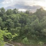 Forest Reserve Lestari Putra