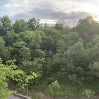 Forest Reserve Lestari Putra ico