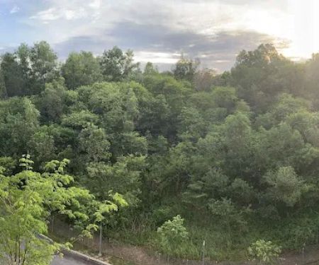 Forest Reserve Lestari Putra