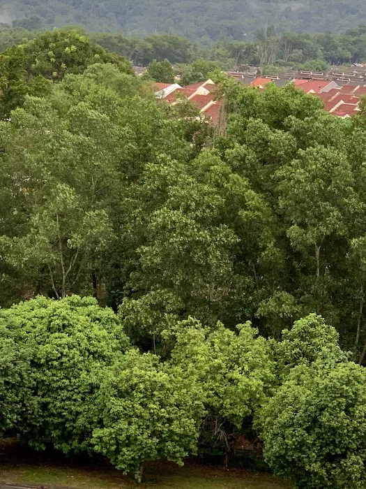 Forest Reserve Lestari Putra Picture 6