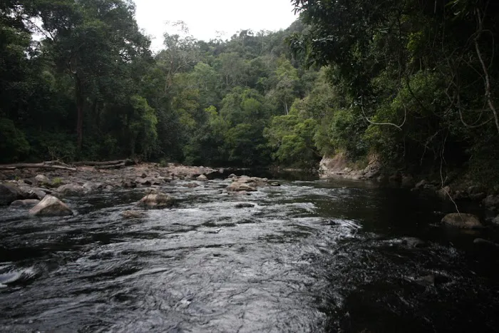 Camp Melantai Picture 5
