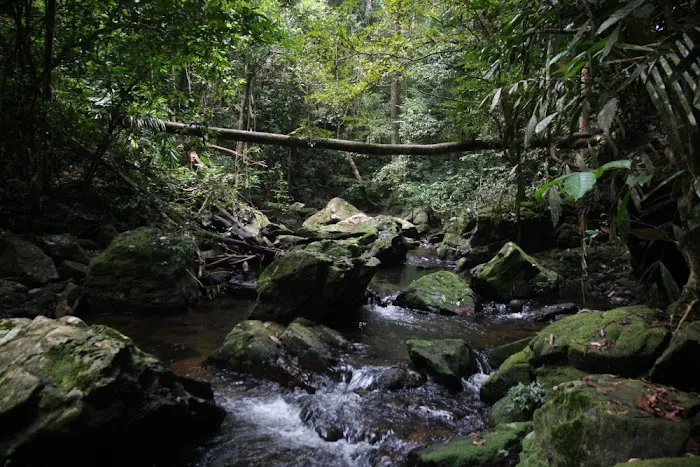 Camp Melantai Picture 8