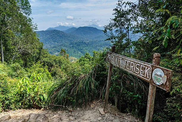 Taman Negara Picture 1