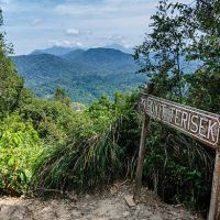 Taman Negara ico