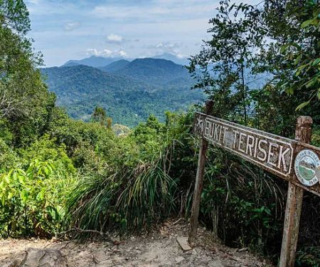 Taman Negara