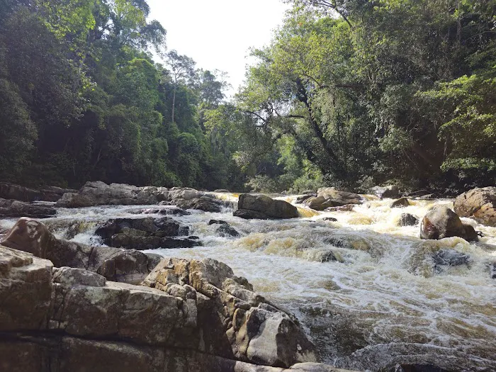 Taman Negara Picture 3