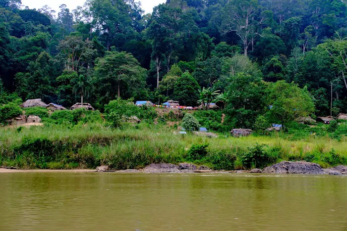 Taman Negara Picture 10