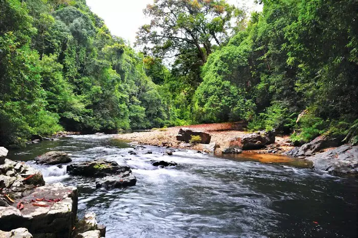 Taman Negara Picture 2