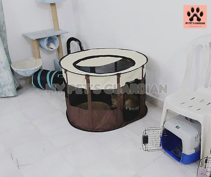 My Pets Guardian Services Picture 10