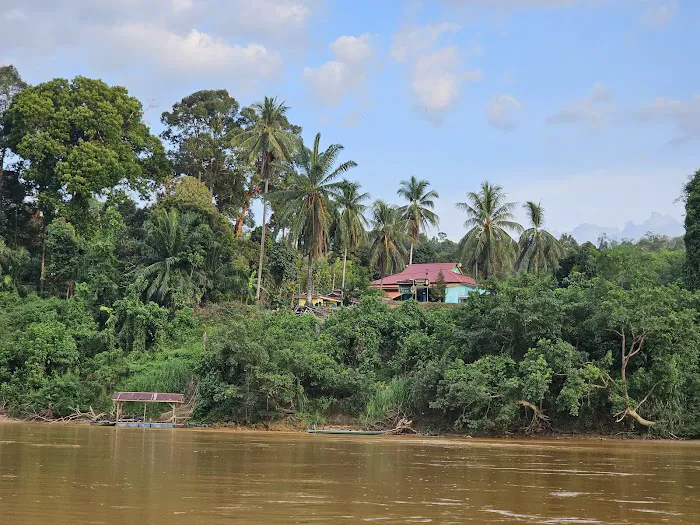 Dataran Kampung Mambong Picture 4