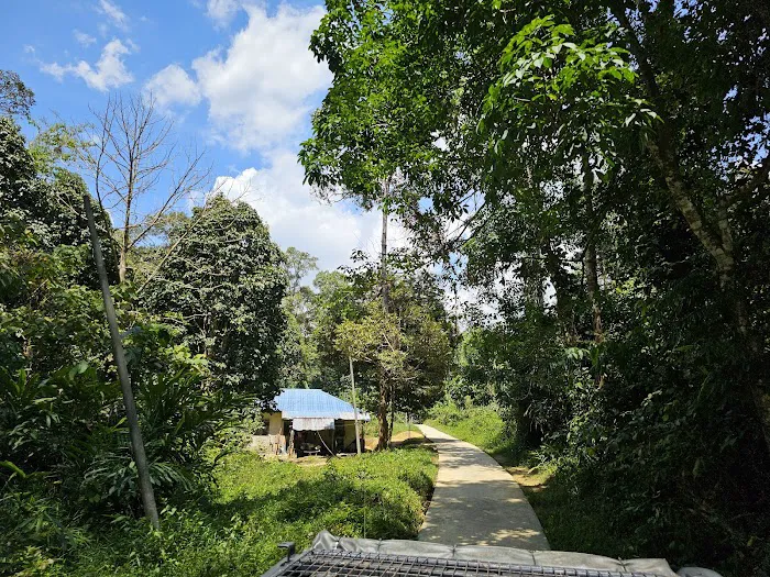 Dataran Kampung Mambong Picture 10