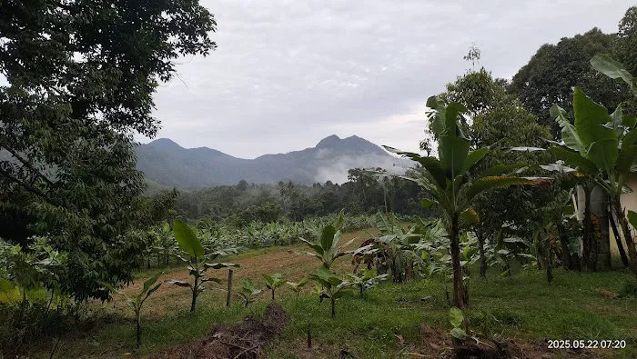 Pergau Campsite Kuala Balah Picture 7
