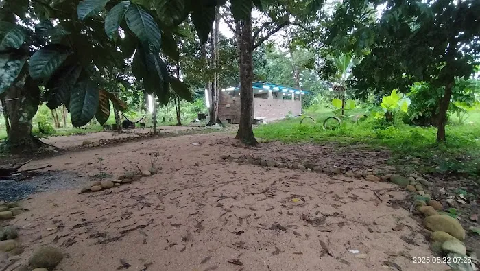 Pergau Campsite Kuala Balah Picture 2