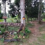 Pergau Campsite Kuala Balah