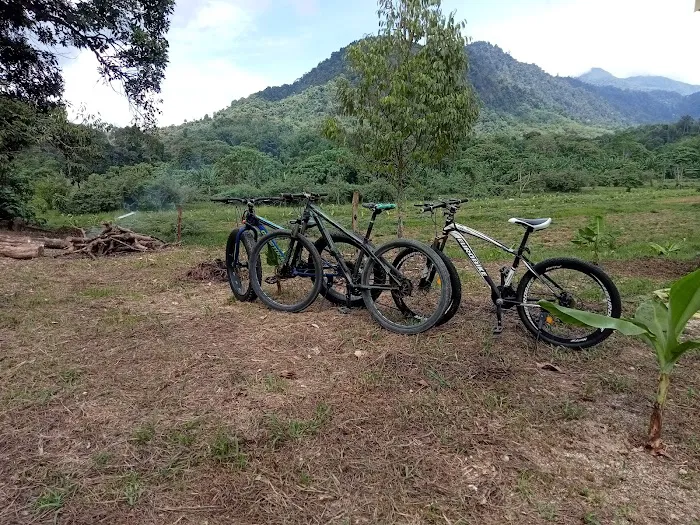 Pergau Campsite Kuala Balah Picture 10