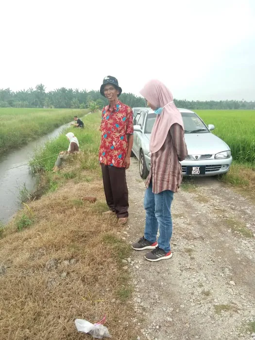 Plot Demo Blok M Picture 3