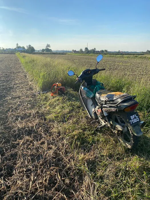 Plot Demo Blok M Picture 9