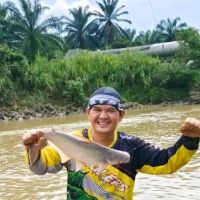 Jambatan pail ico