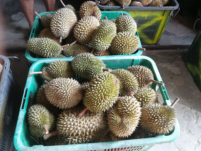 Kedai Kak Ani Picture 5