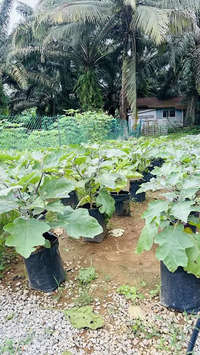 JV Garden Home Picture 8