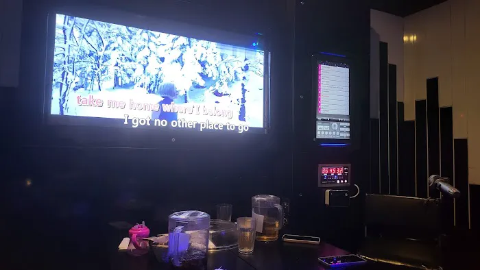 Superstar Karaoke Picture 2