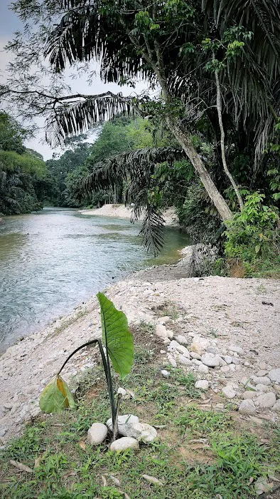 Empatekar Picture 2