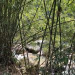 Stone Waterfall