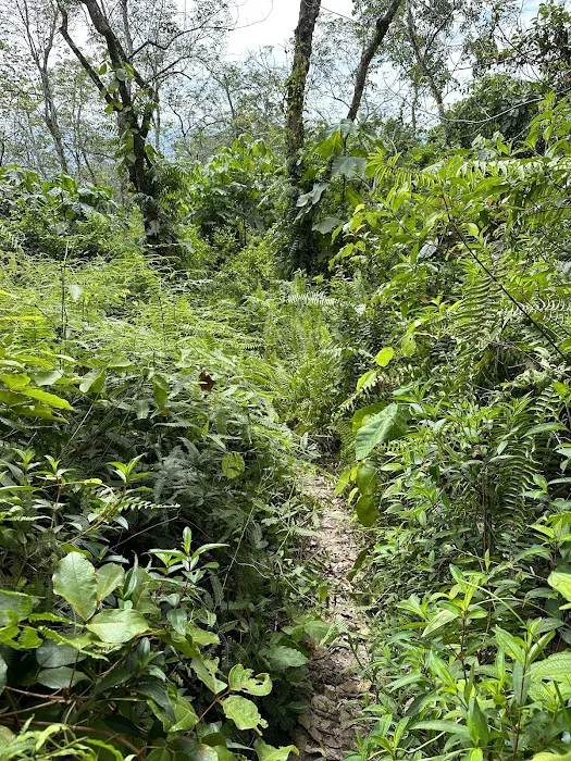 Bukit Asa Trailhead Picture 5