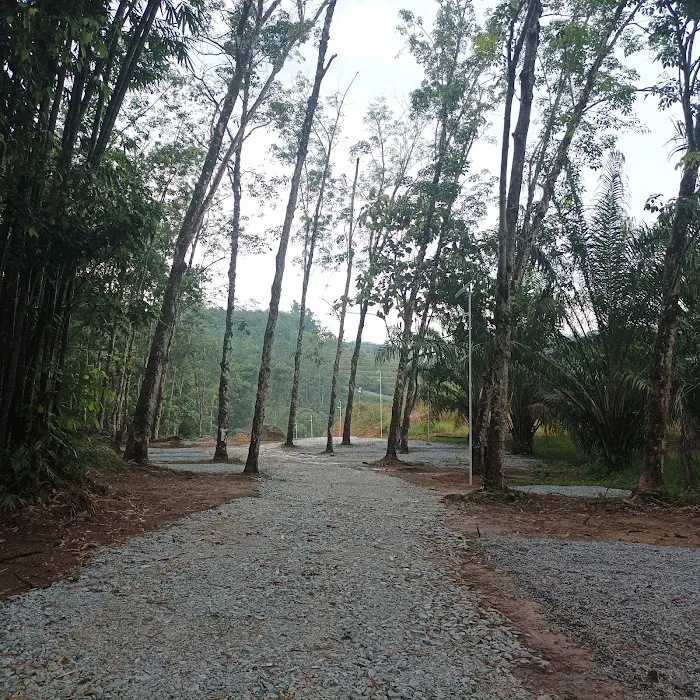 Dragon River Campsite Picture 9