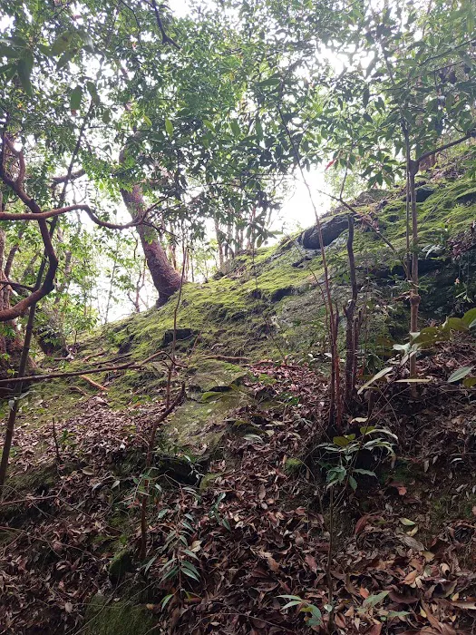Bukit Kg Hassan, Hulu Bernam Picture 6